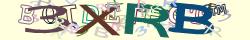 Retype the CAPTCHA code from the image